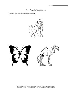 UKG-Basic Phonics Worksheets for Kids